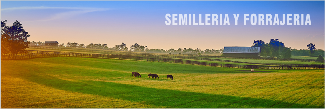 Forrajería y Semillería Santa Rosa