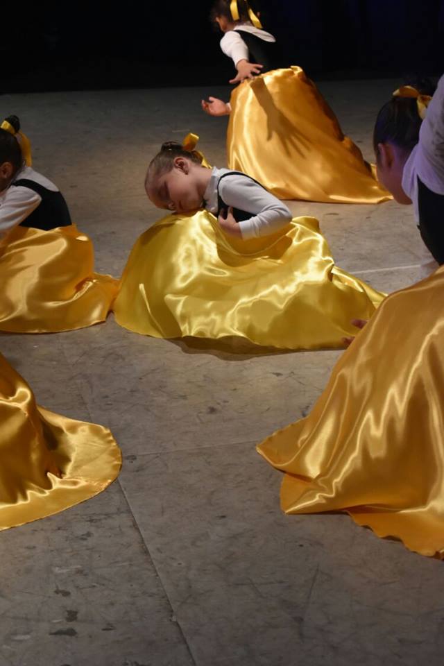 Instituto de Danzas Vanesa Rodriguez
