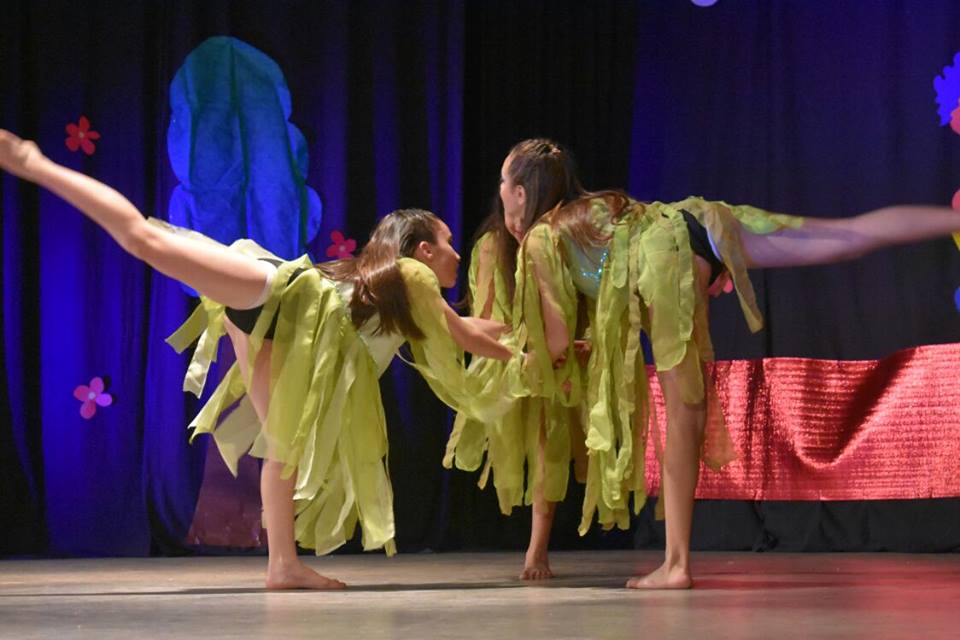Instituto de Danzas Vanesa Rodriguez