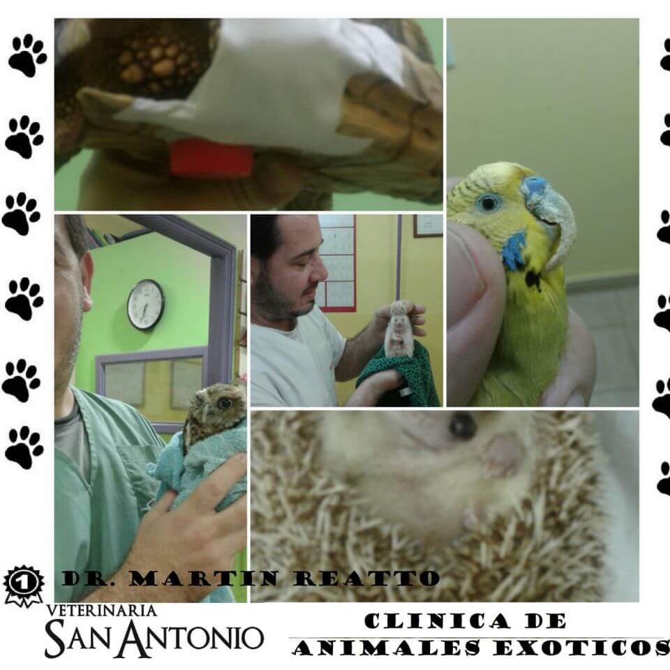 Veterinaria San Antonio