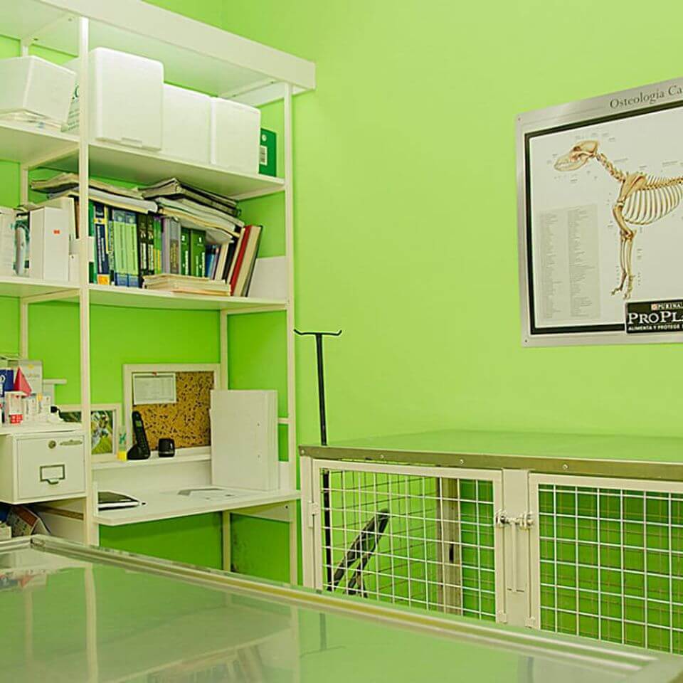 Veterinaria San Antonio