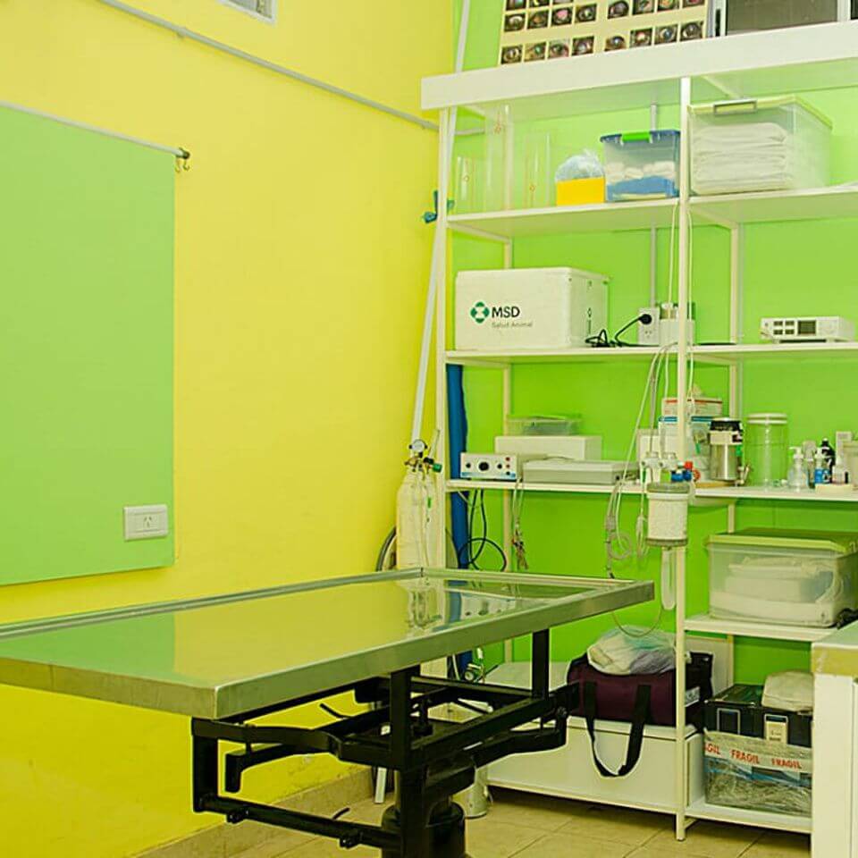 Veterinaria San Antonio