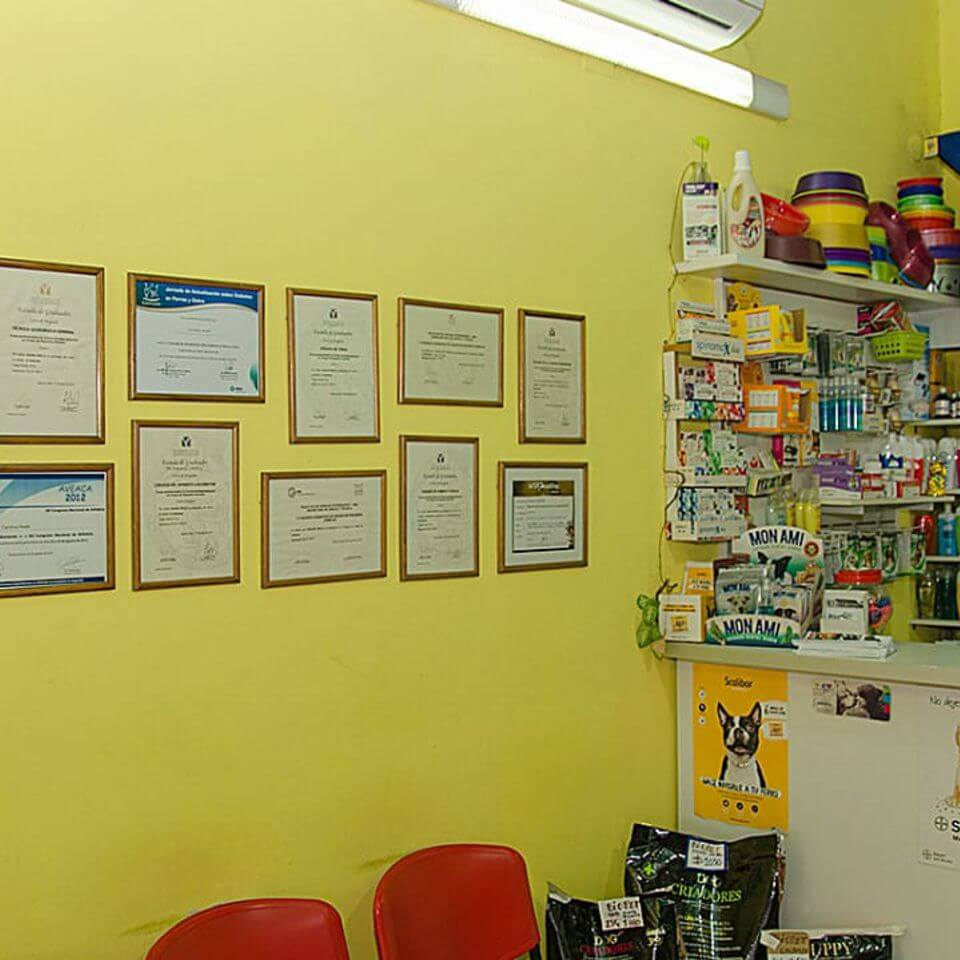 Veterinaria San Antonio