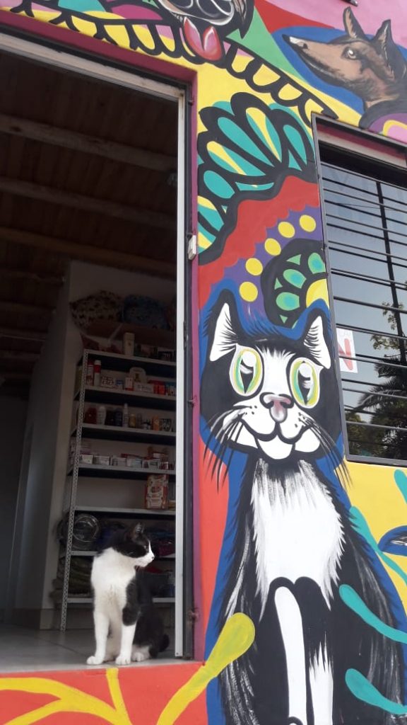 Veterinaria Del Milagro