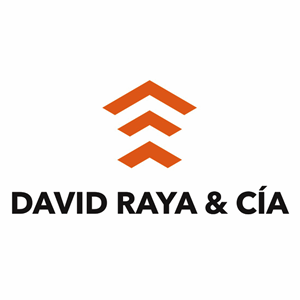 Raya David Construcciones