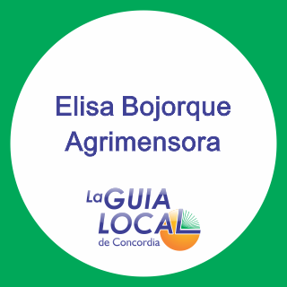 Bojorque Elisa Agrimensora
