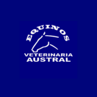Veterinaria Austral Equinos