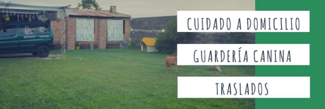 Eduali Pet Sitter