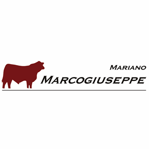 Marcogiuseppe Mariano Negocios Ganaderos-Inmobiliarios