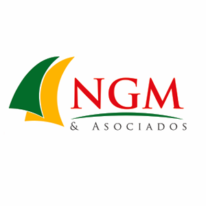NGM & Asociados