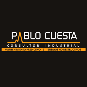 Pablo Cuesta Consultor Industrial
