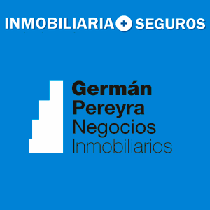 Inmobiliaria+Seguros
