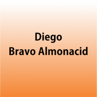 Bravo Almonacid Diego Médico Gastroenterólogo
