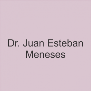 Meneses Juan Esteban Médico Cirujano