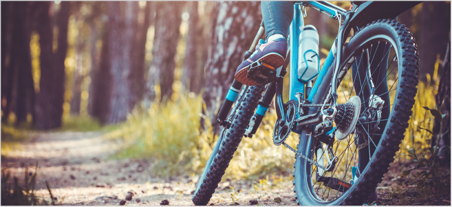 G&G Bike