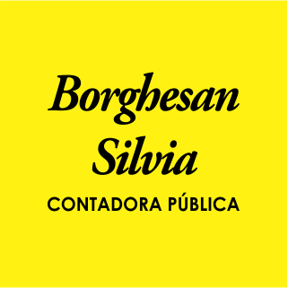 Borghesan Silvia Contadora Pública