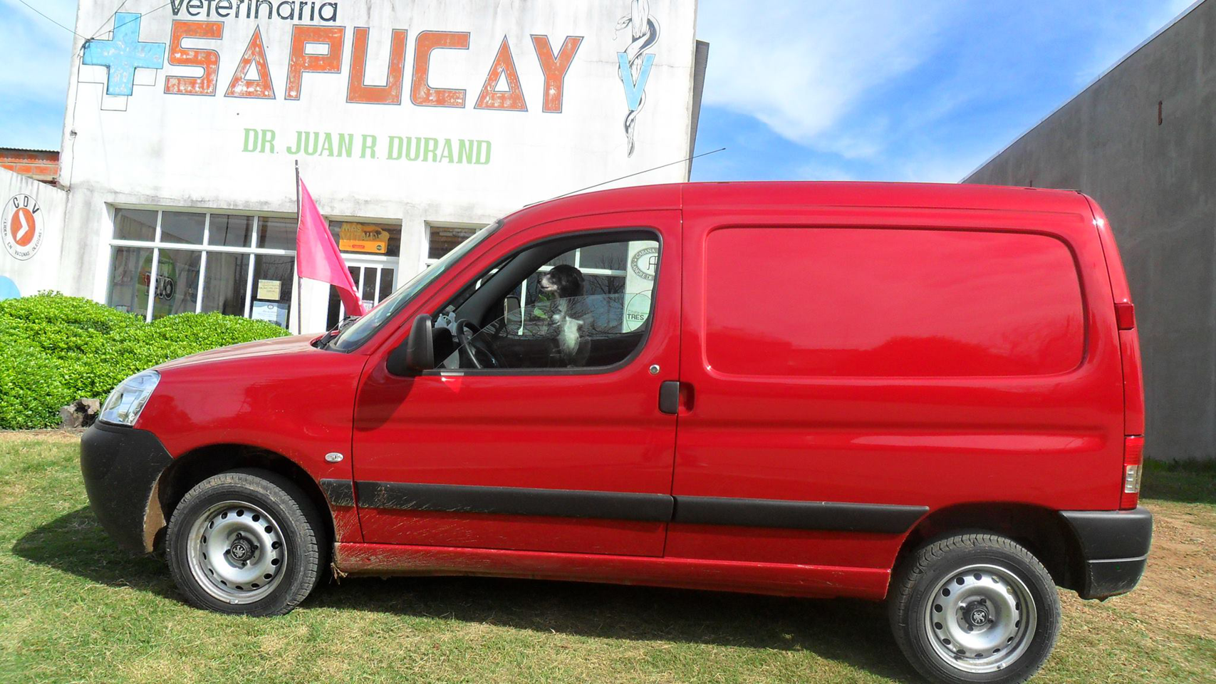Veterinaria Sapucay
