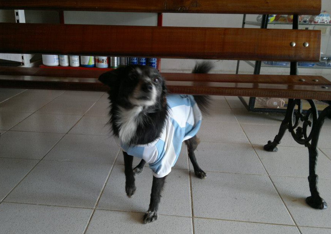 Veterinaria Sapucay