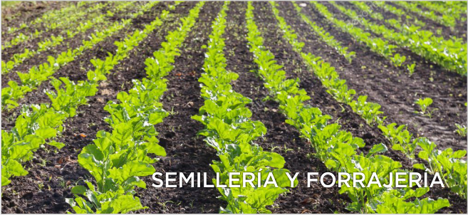 El Granero Semillería y Forrajería