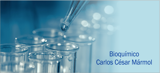 Laboratorio Mármol