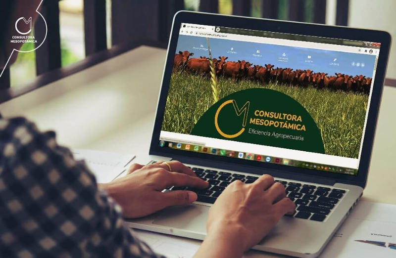 Consultora Mesopotámica