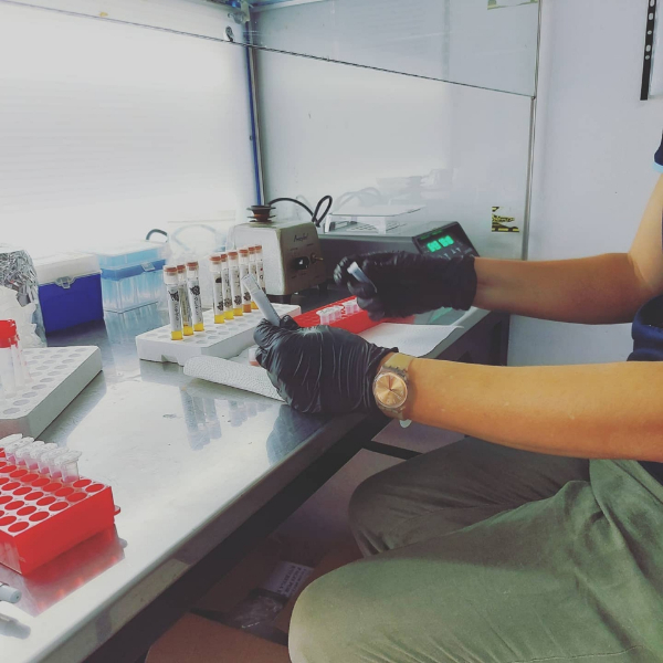 LM Laboratorio Mesopotámico de Diagnóstico Veterinario