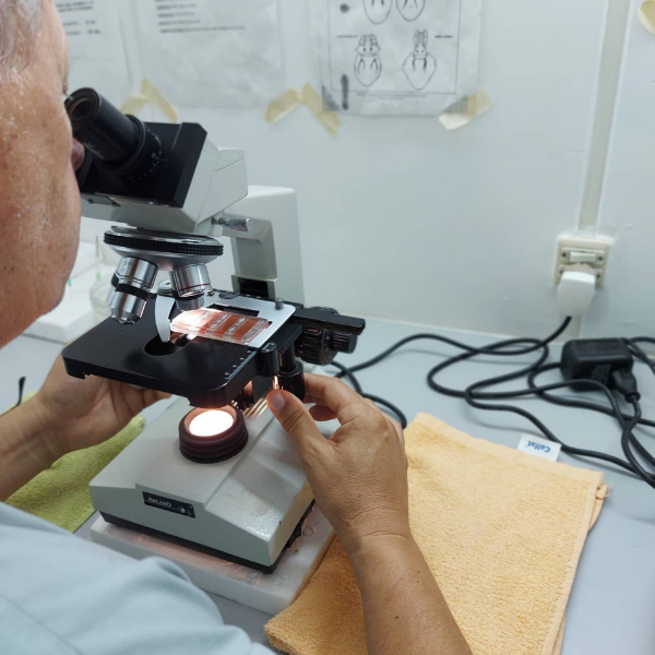 LM Laboratorio Mesopotámico de Diagnóstico Veterinario