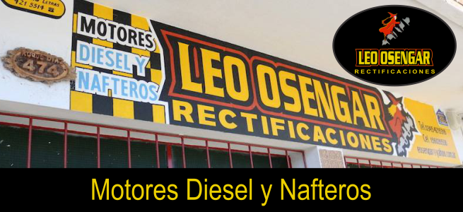Leo Osengar Rectificaciones