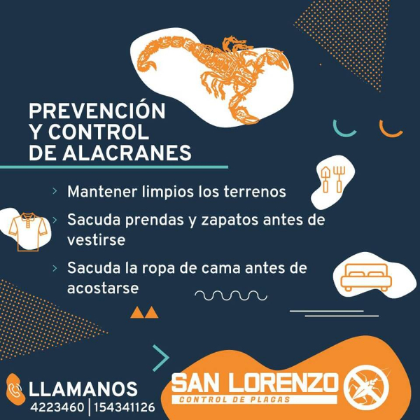 San Lorenzo Control de Plagas