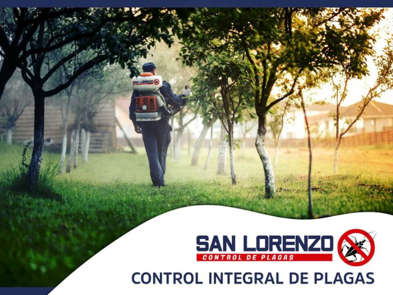San Lorenzo Control de Plagas