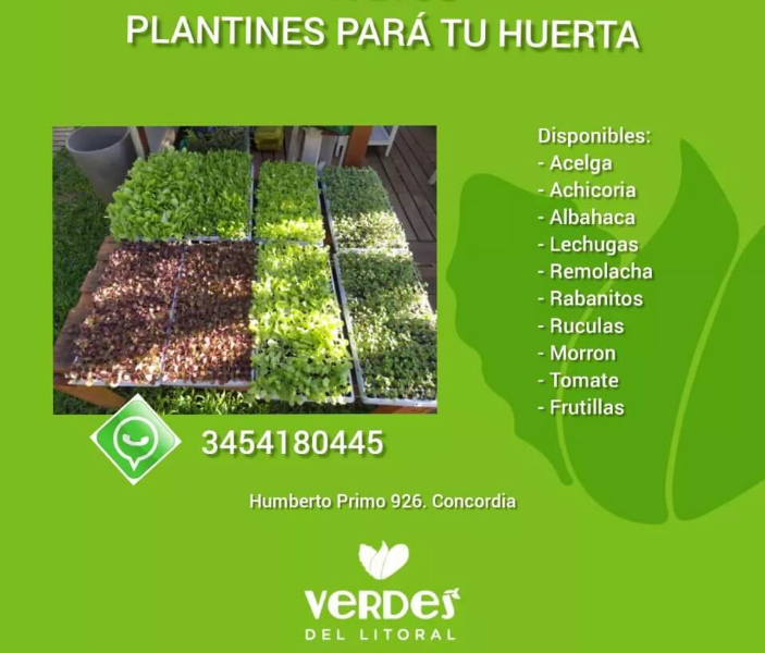 Verdes del Litoral