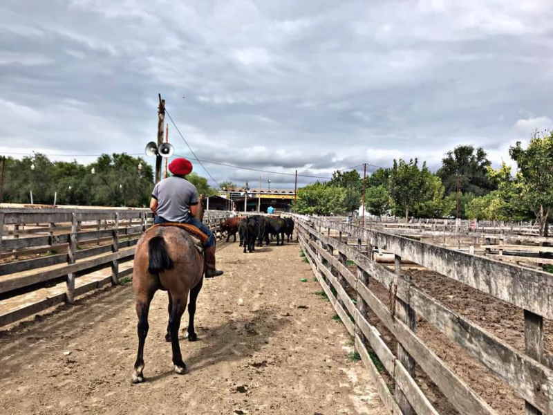 Jauregui Lorda Haciendas