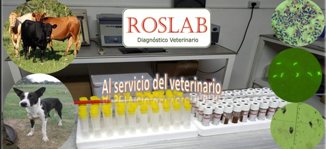 RosLab Diagnóstico Veterinario