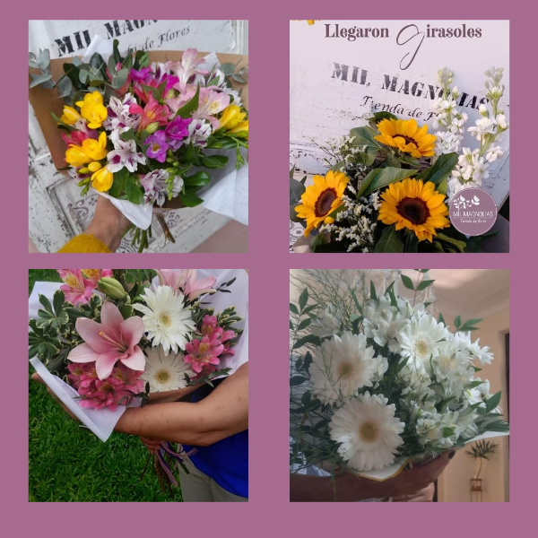 Mil Magnolias Tienda de Flores