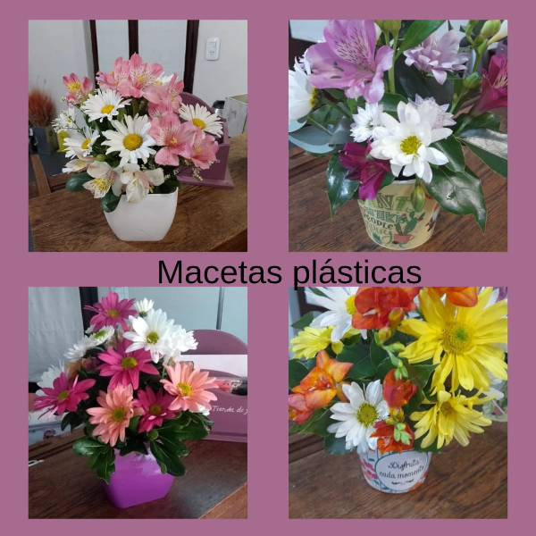 Mil Magnolias Tienda de Flores