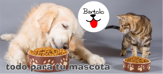Bartolo Pet Shop 