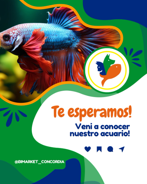 Bimarket Acuario y Petshop