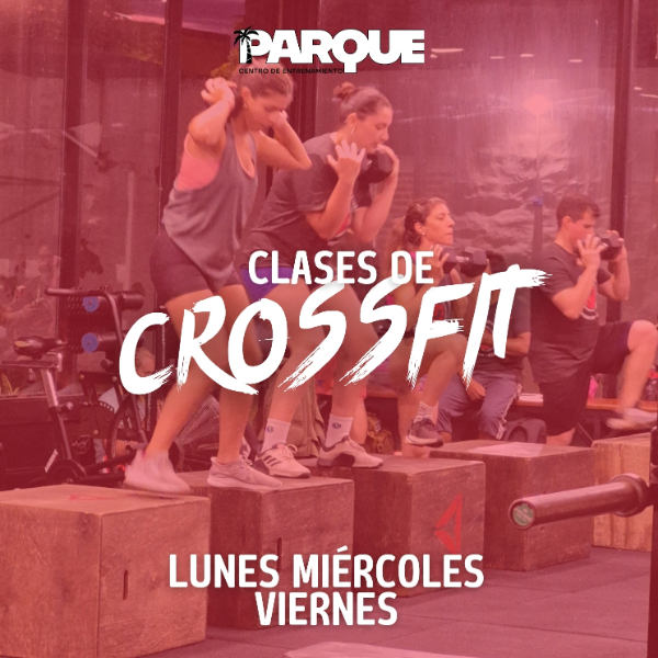 Gimnasio Parque CDE