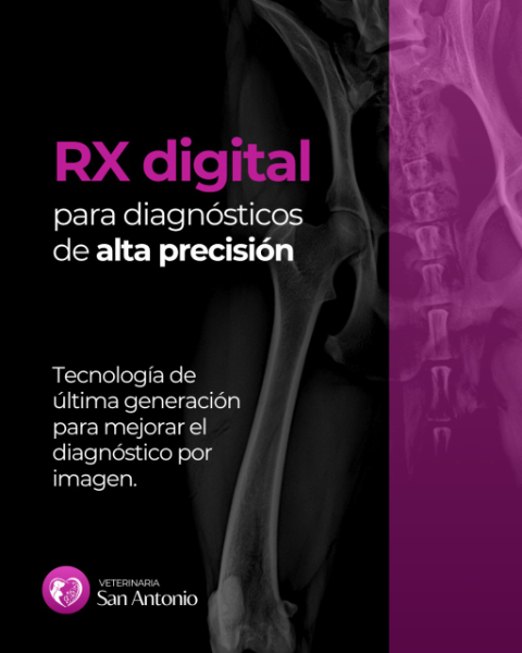 Veterinaria San Antonio