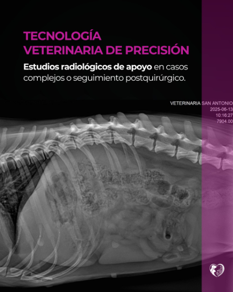 Veterinaria San Antonio