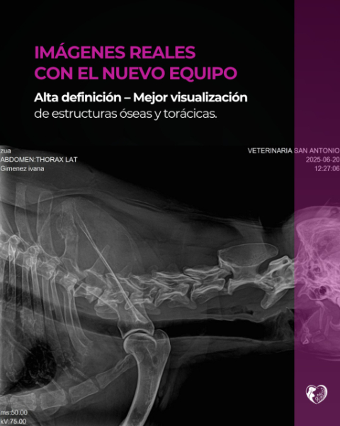 Veterinaria San Antonio
