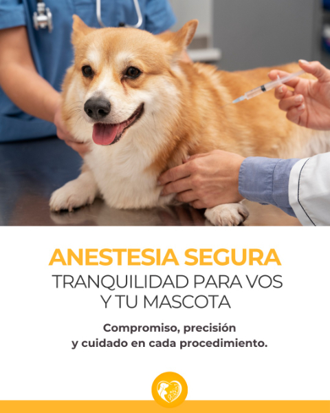 Veterinaria San Antonio