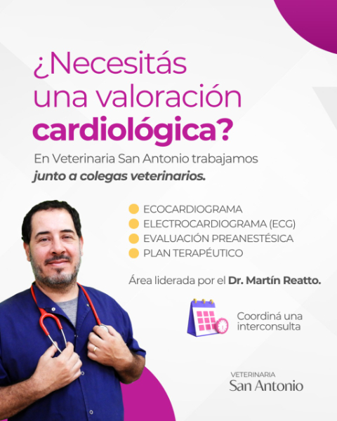 Veterinaria San Antonio