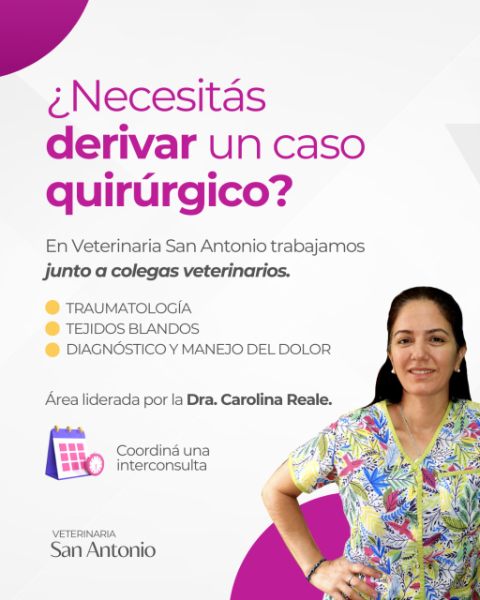 Veterinaria San Antonio